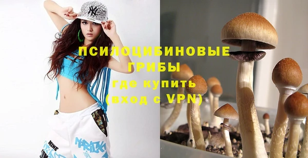 гашик Аркадак