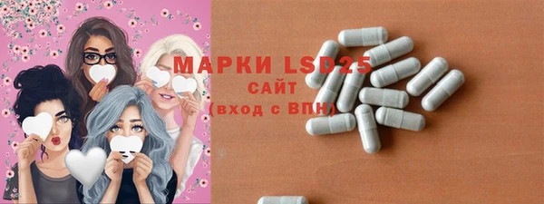 прущие грибы Рославль