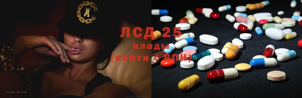 гашик Аркадак