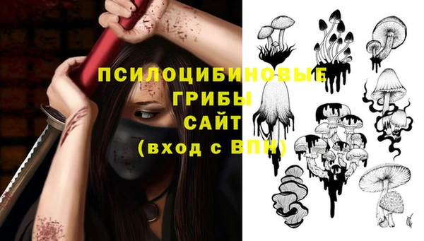 гидропоника Арсеньев
