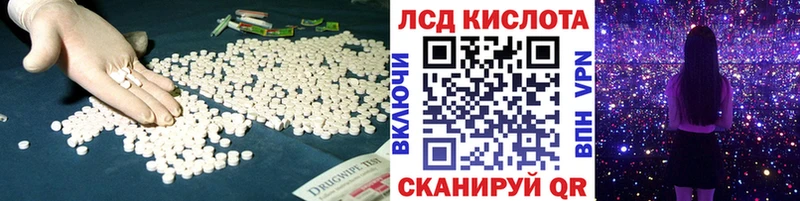 где найти наркотики  Магас  LSD-25 экстази кислота 