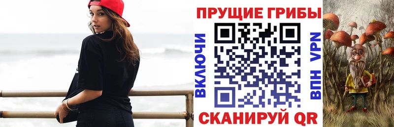 Галлюциногенные грибы прущие грибы  Магас 